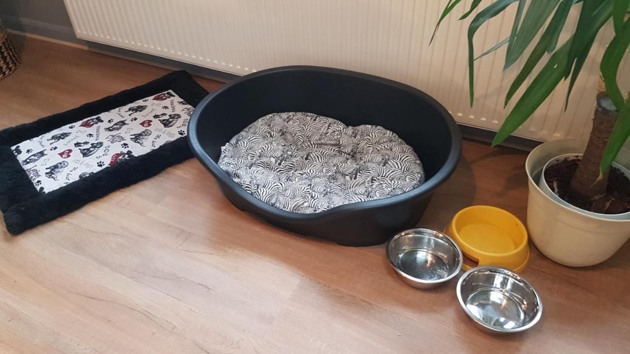 Nature, Charme, Confort, Avec Netflix Et Ps4 Lutzelbourg Exteriér fotografie